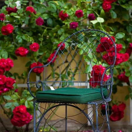 Palac Hotel Staniszow